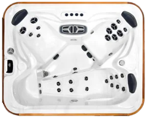 Arctic Spas Arctic Fox