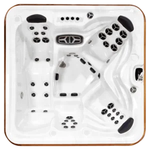 Arctic Spas Cub