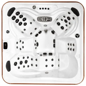 Arctic Spas Kodiak