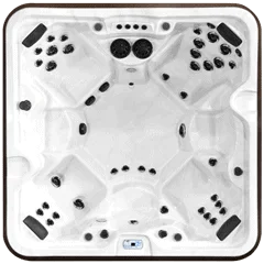 Arctic Spas McKinley